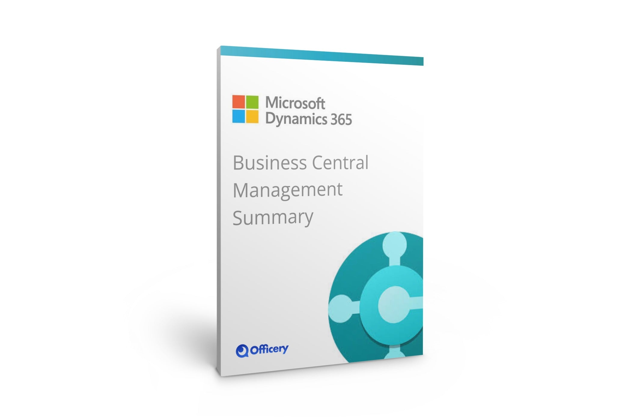 Business Central Management Summary